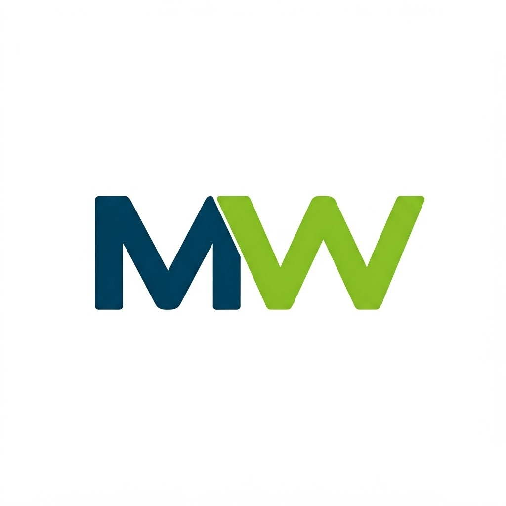 Mechatronik und Wirtschaft (MEWI)